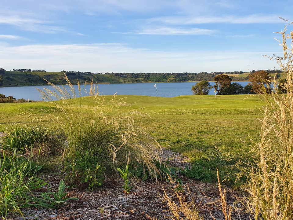 Camperdown Golf Club hero