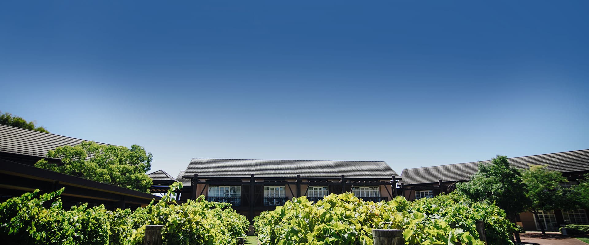 The Vines Resort & Country Club