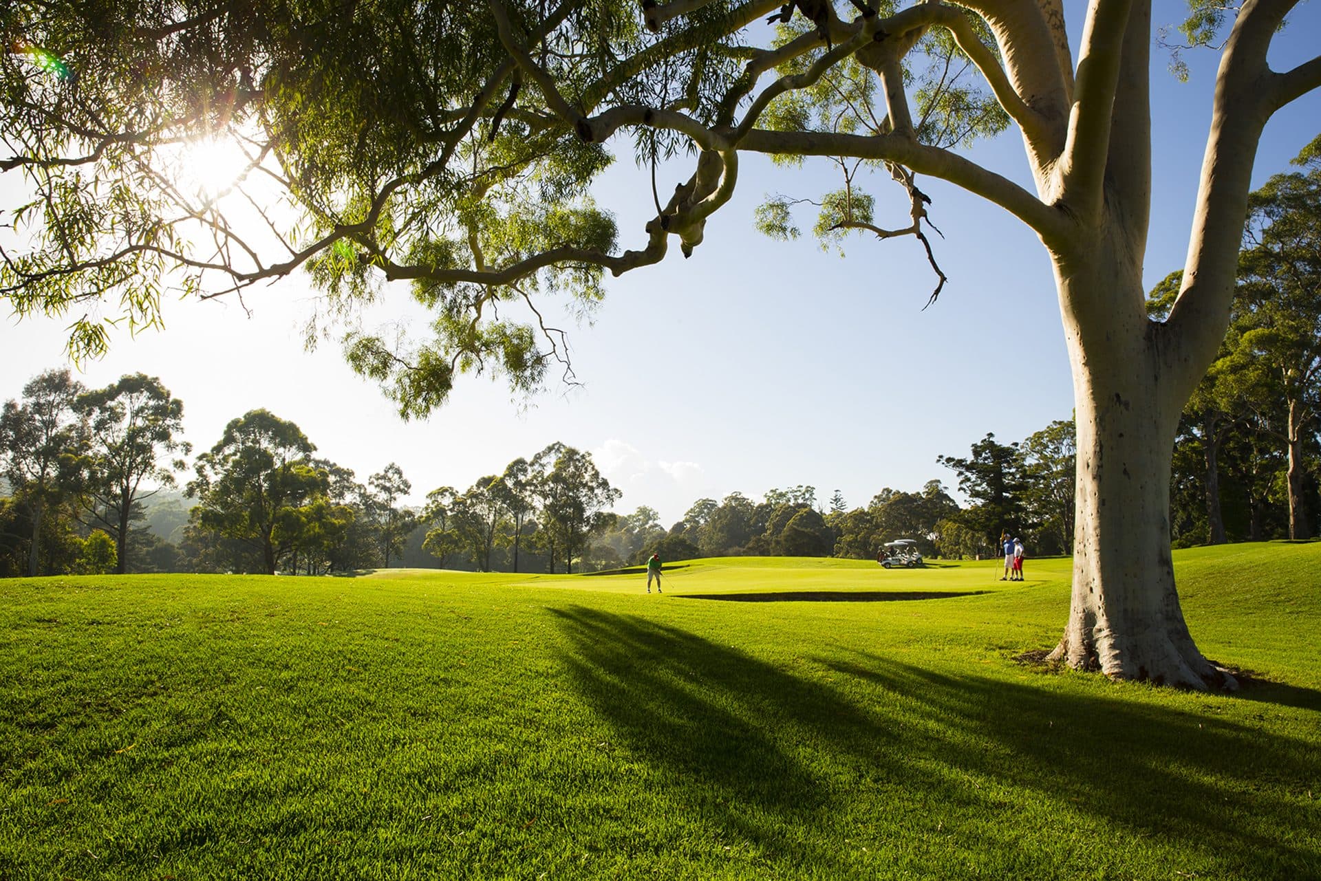 Castle Hill Country Club