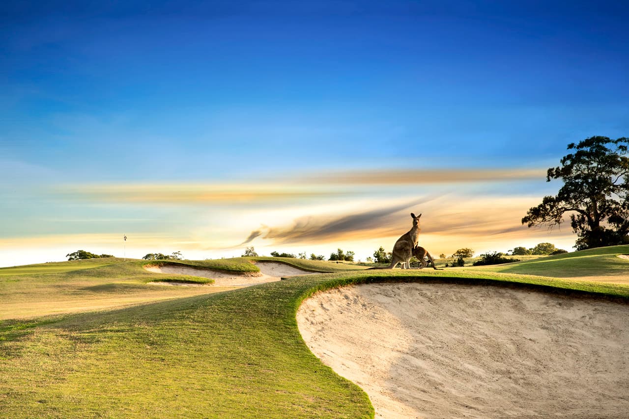 Growling Frog Golf Course