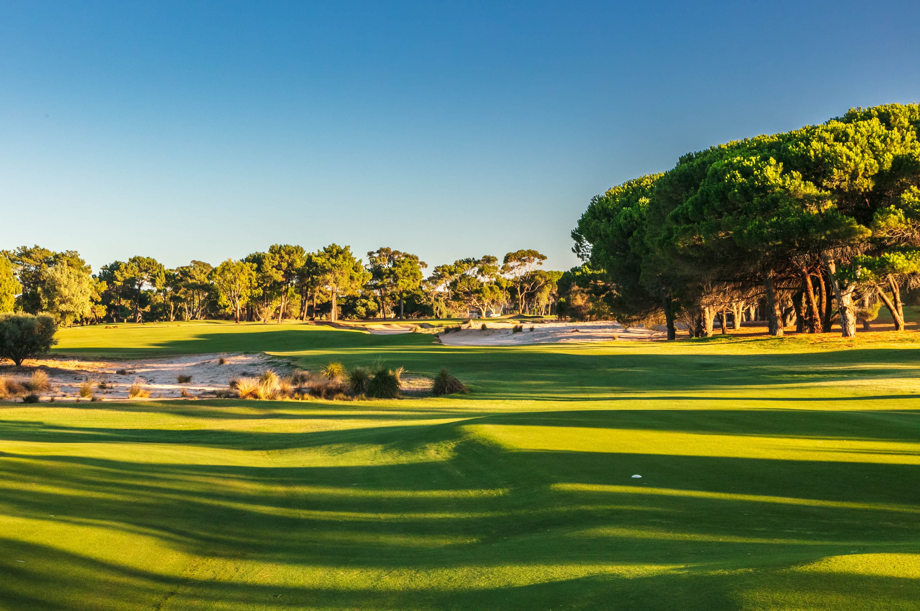 The Grange Golf Club