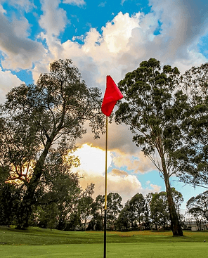 Wattle Park Golf Course